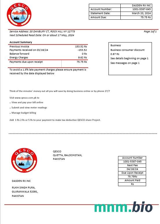 Pakistan Quetta Electric Supply Company electricity rachunek za usługi komunalne szablon w formatach Word i PDF